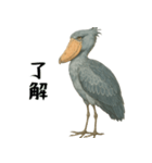 微動だにしないハシビロコウ（個別スタンプ：8）