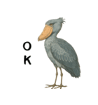 微動だにしないハシビロコウ（個別スタンプ：10）