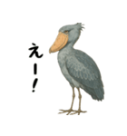 微動だにしないハシビロコウ（個別スタンプ：14）