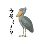 微動だにしないハシビロコウ（個別スタンプ：16）