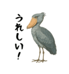 微動だにしないハシビロコウ（個別スタンプ：20）