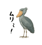 微動だにしないハシビロコウ（個別スタンプ：22）