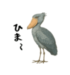 微動だにしないハシビロコウ（個別スタンプ：26）
