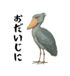 微動だにしないハシビロコウ（個別スタンプ：28）