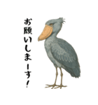 微動だにしないハシビロコウ（個別スタンプ：35）