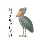 微動だにしないハシビロコウ（個別スタンプ：37）