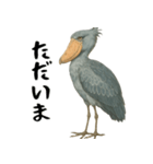 微動だにしないハシビロコウ（個別スタンプ：38）