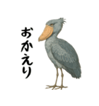 微動だにしないハシビロコウ（個別スタンプ：39）