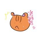 リス40（個別スタンプ：11）