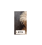 動くおマルマル（個別スタンプ：5）