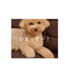 動くおマルマル（個別スタンプ：7）
