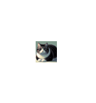 太ったカワイイ猫たち！（個別スタンプ：7）
