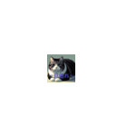 太ったカワイイ猫たち！（個別スタンプ：32）