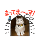 愛する3ニャンズ（個別スタンプ：8）