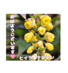 春爛漫のお花で ご挨拶（個別スタンプ：2）