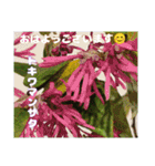 春爛漫のお花で ご挨拶（個別スタンプ：6）