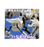 春爛漫のお花で ご挨拶（個別スタンプ：7）