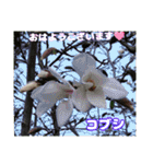 春爛漫のお花で ご挨拶（個別スタンプ：9）