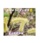 春爛漫のお花で ご挨拶（個別スタンプ：32）