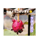 春爛漫のお花で ご挨拶（個別スタンプ：38）
