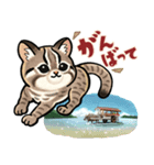 動物の日常会話【沖縄篇】（個別スタンプ：2）