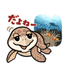 動物の日常会話【沖縄篇】（個別スタンプ：3）