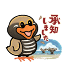 動物の日常会話【沖縄篇】（個別スタンプ：10）