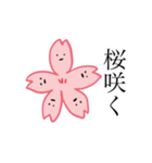 自由な桜たち（個別スタンプ：1）