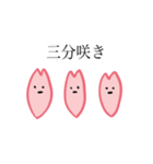 自由な桜たち（個別スタンプ：13）