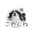 おーぴースタンプ2（個別スタンプ：4）