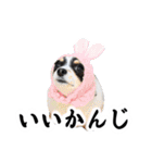 おーぴースタンプ2（個別スタンプ：7）