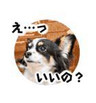 おーぴースタンプ2（個別スタンプ：8）