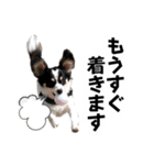 おーぴースタンプ2（個別スタンプ：10）