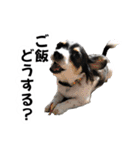 おーぴースタンプ2（個別スタンプ：14）