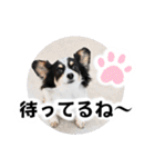 おーぴースタンプ2（個別スタンプ：16）
