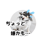 おーぴースタンプ2（個別スタンプ：18）