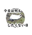 おーぴースタンプ2（個別スタンプ：22）