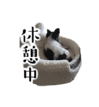 おーぴースタンプ2（個別スタンプ：23）