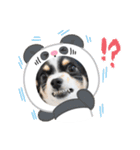 おーぴースタンプ2（個別スタンプ：27）