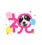 おーぴースタンプ2（個別スタンプ：32）