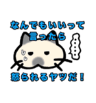 家族で使えるもちねこスタンプ（個別スタンプ：10）