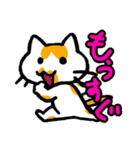 家族で使えるもちねこスタンプ（個別スタンプ：13）