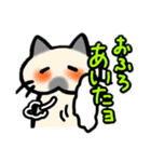 家族で使えるもちねこスタンプ（個別スタンプ：20）