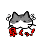 家族で使えるもちねこスタンプ（個別スタンプ：21）