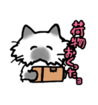 家族で使えるもちねこスタンプ（個別スタンプ：27）
