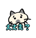 家族で使えるもちねこスタンプ（個別スタンプ：29）