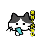 家族で使えるもちねこスタンプ（個別スタンプ：31）