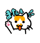家族で使えるもちねこスタンプ（個別スタンプ：40）