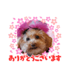 ange.Kiran.ni-na（個別スタンプ：2）