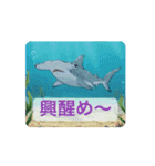 動く！海の仲間たちのstamp（個別スタンプ：8）